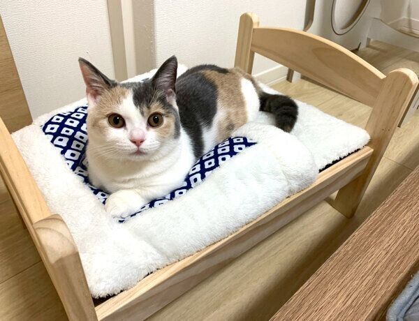 ベッドの上に乗るアラレちゃん