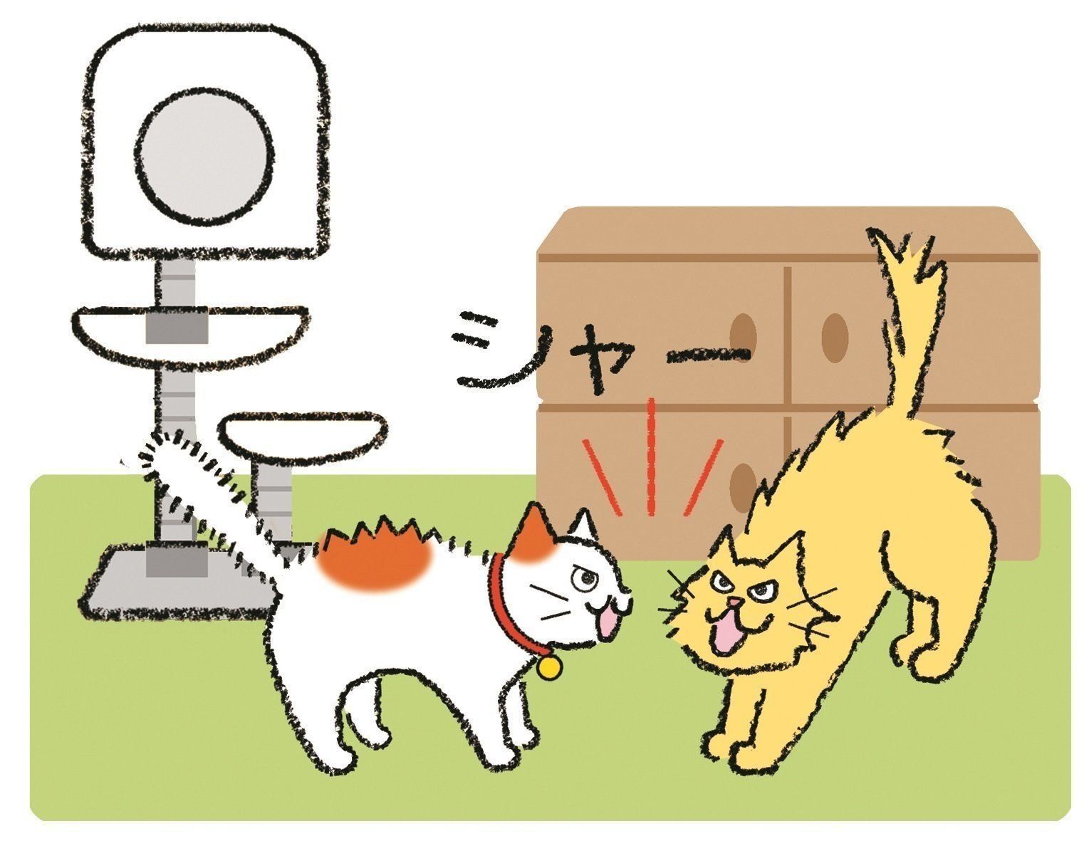 イラスト／内田尚子