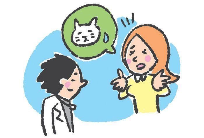 「ねこのきもち」2018年3月号