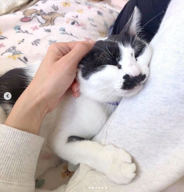 甘えるウッシーちゃん