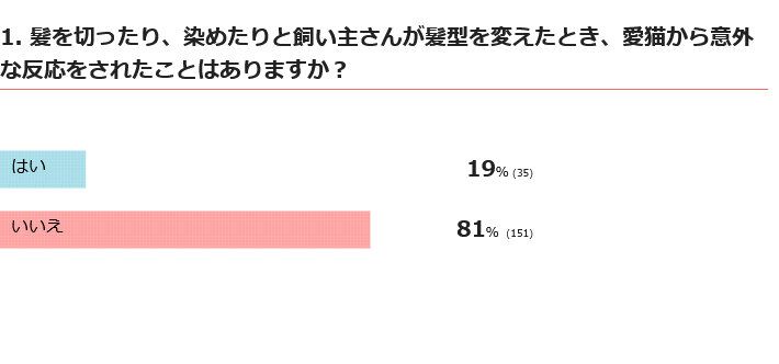 髪型を変えると猫はどんな反応をする？