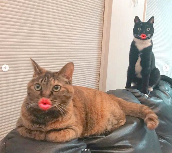 見つめるレンちゃんとミントちゃん