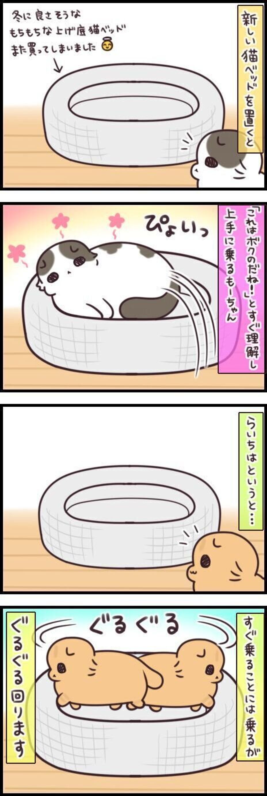 ぐるぐる回る派 すぐくつろぐ派 位置決めが器用な猫 不器用な猫 連載 もふもふスコたん 198 ねこのきもちweb Magazine ぐるぐる回る派 すぐくつろぐ派 位置決めが器用な猫 不器用な猫 連載 もふもふスコたん 198 ねこのきもちweb Magazine