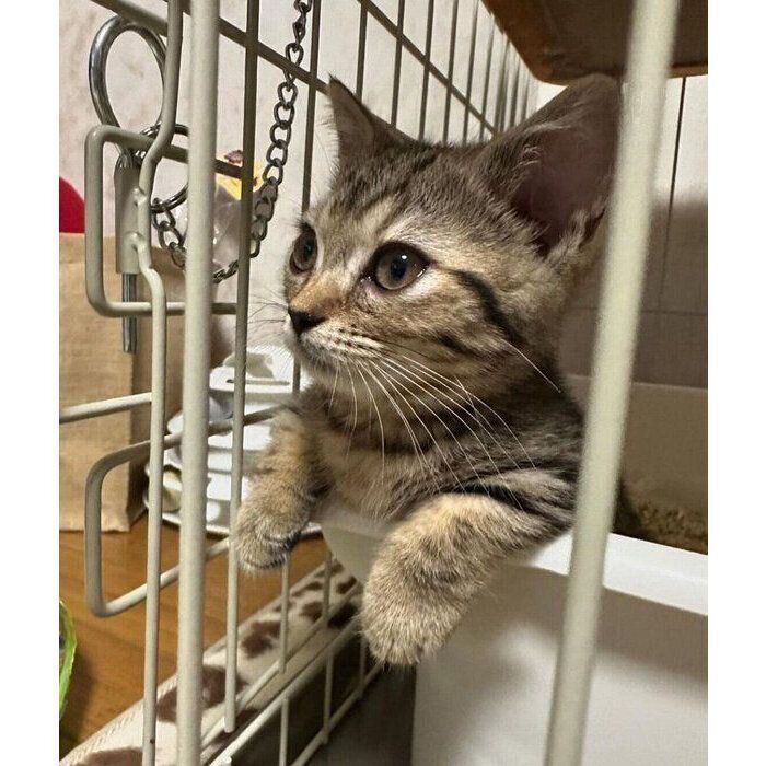 まるでお風呂につかるような姿のなぎちゃん