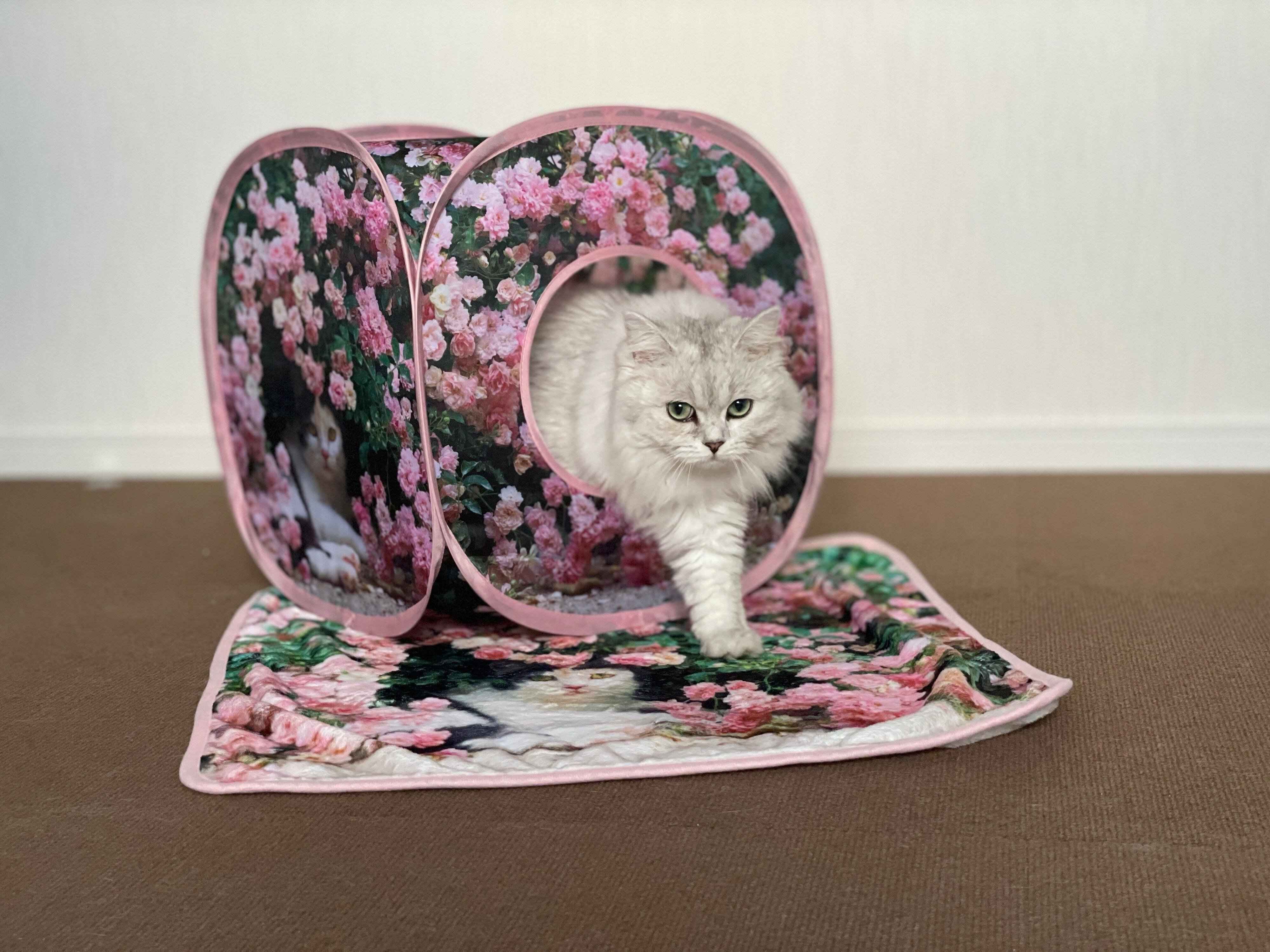 キューブ型テント