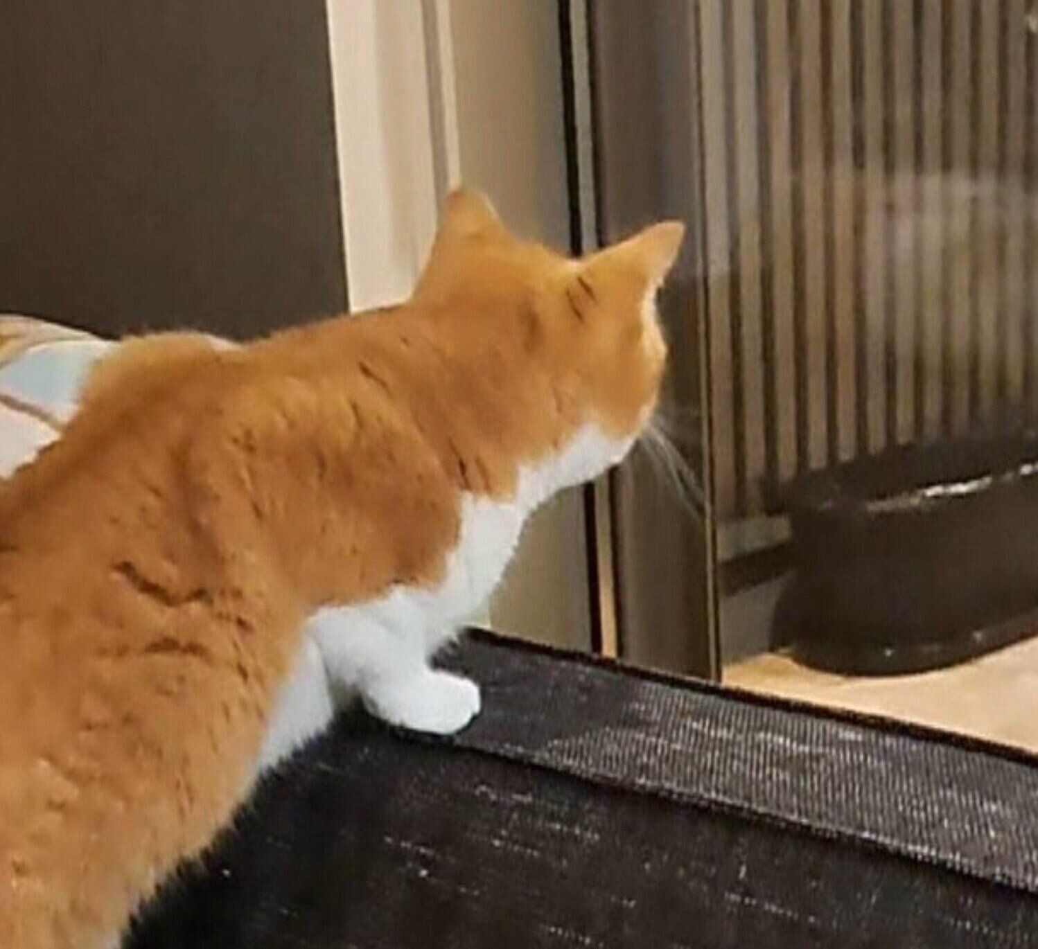 初めて雪を見たもなかくん