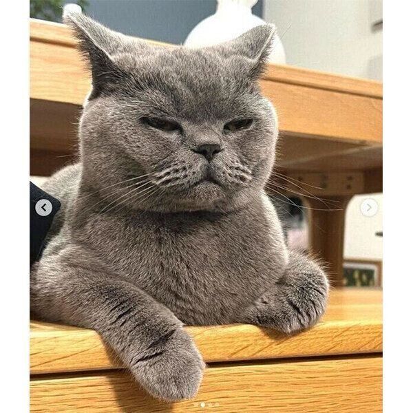 睡魔と闘うトロくん