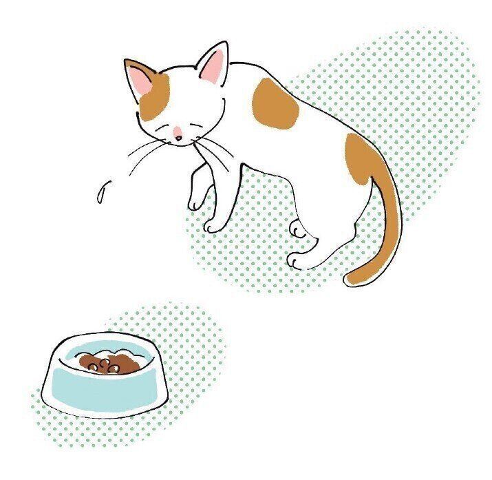 イラスト／はなさきロージー