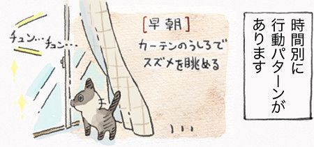 「ねこ連れ草」サムネイル