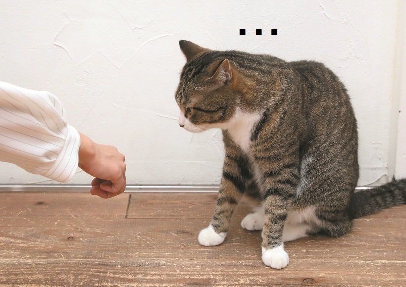 撮影／尾﨑たまき