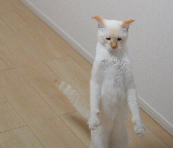 しょんぼり顔のテンくん