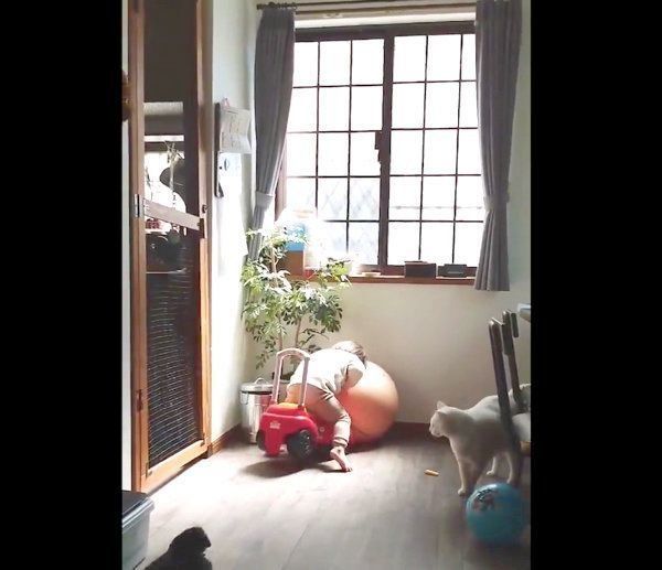 息子さんのことを心配するブランちゃん