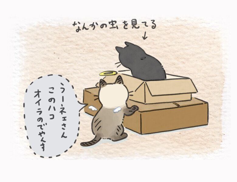 かんたろう魂絵日記