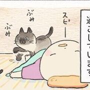 Csylsxogfy8wmm Csylsxogfy8wmm