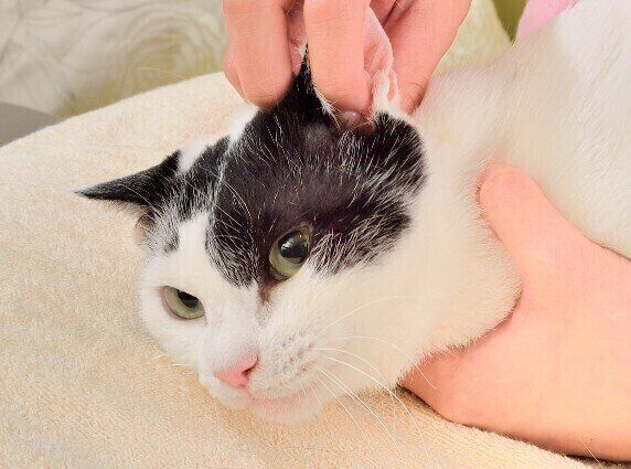 撮影／佐藤正之