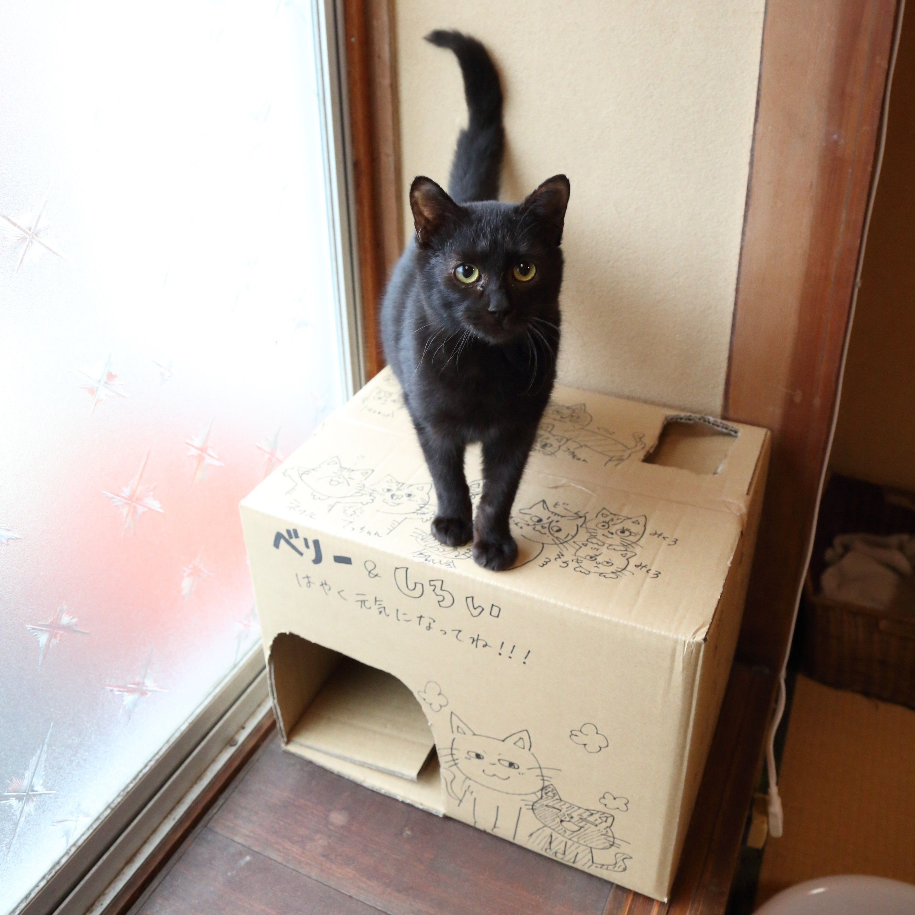 撮影／尾﨑たまき