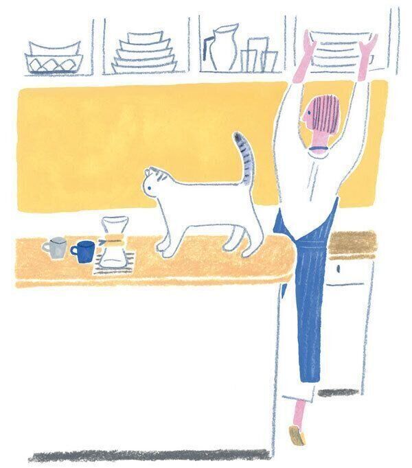 上がってはいけない場所にいる猫