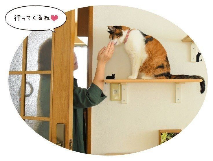 撮影／尾﨑たまき