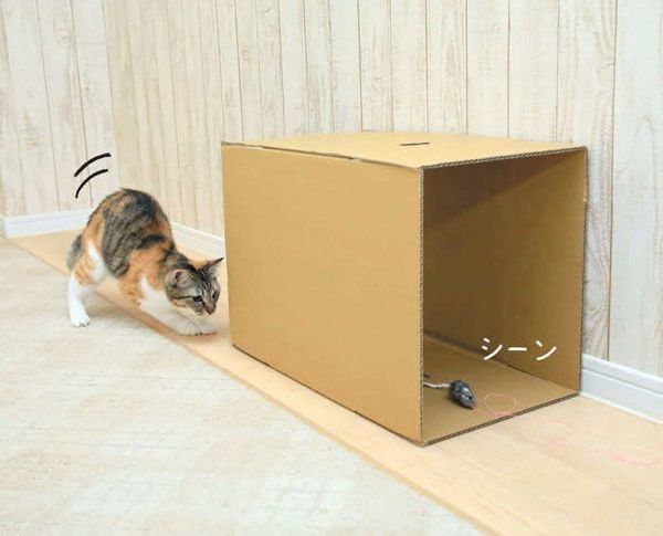 「ネズミ狩りトンネル潜り」の遊び方