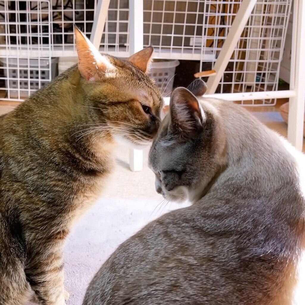 リタちゃんとリノちゃん