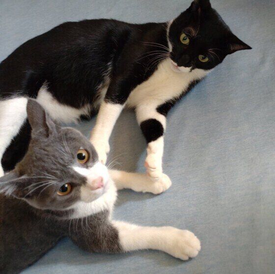 バナちゃんと五右衛門ちゃん