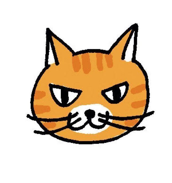 表情でわかる猫の気持ち