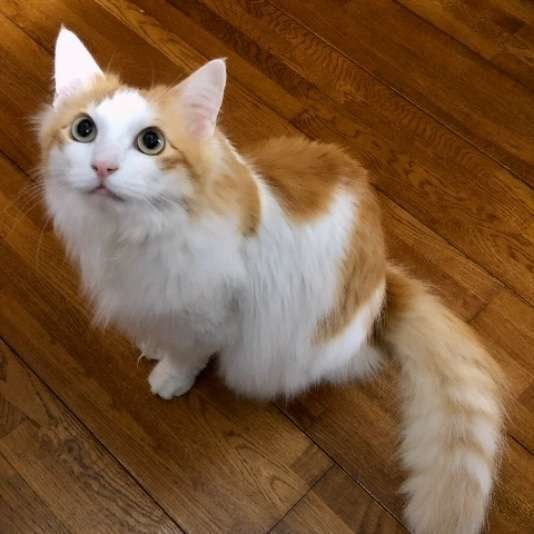 茶×白　みなと