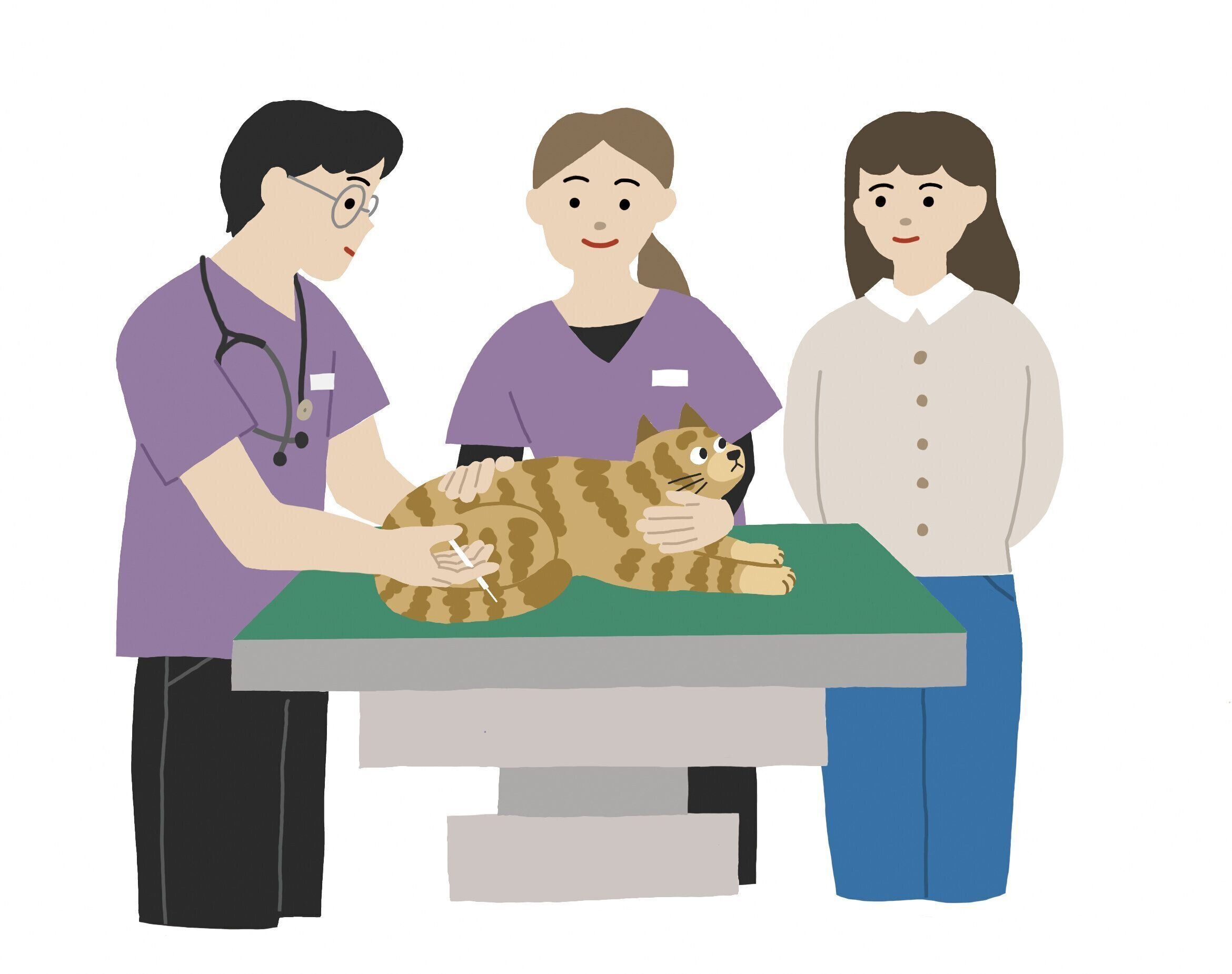 イラスト／やすだゆみ