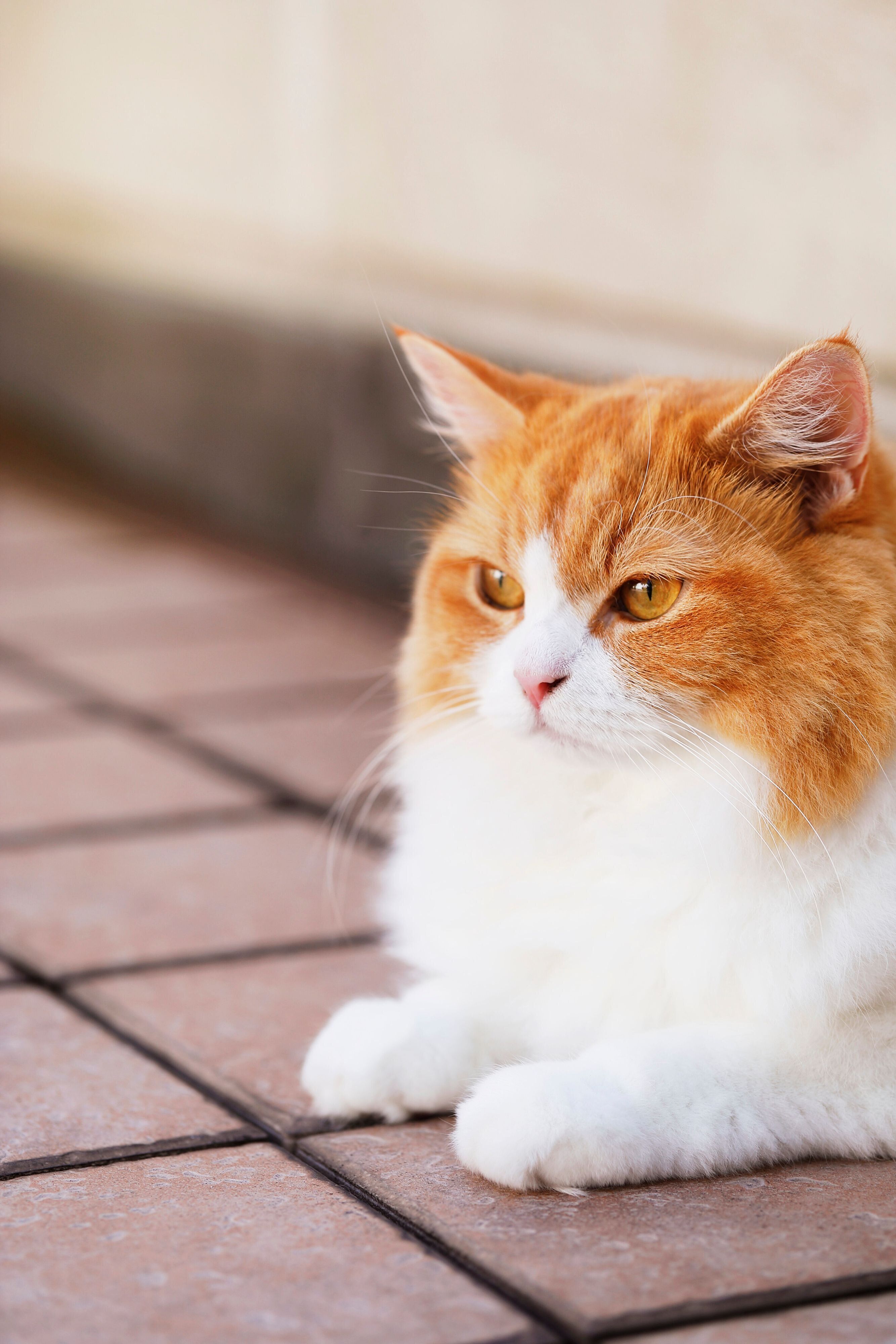 撮影／後藤さくら