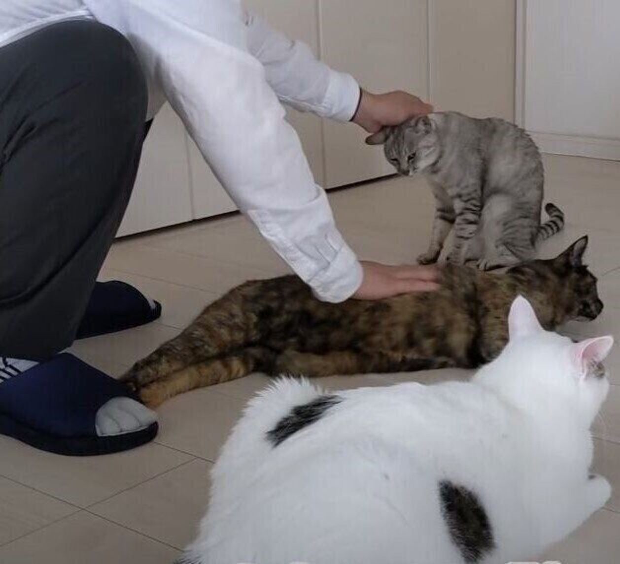 Dlaeejgnrikuhm Dlaeejgnrikuhm