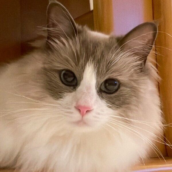 カメラ目線の乃蒼くん