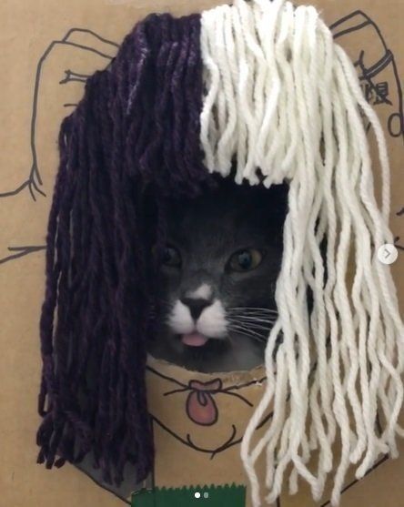 顔はめパネル？