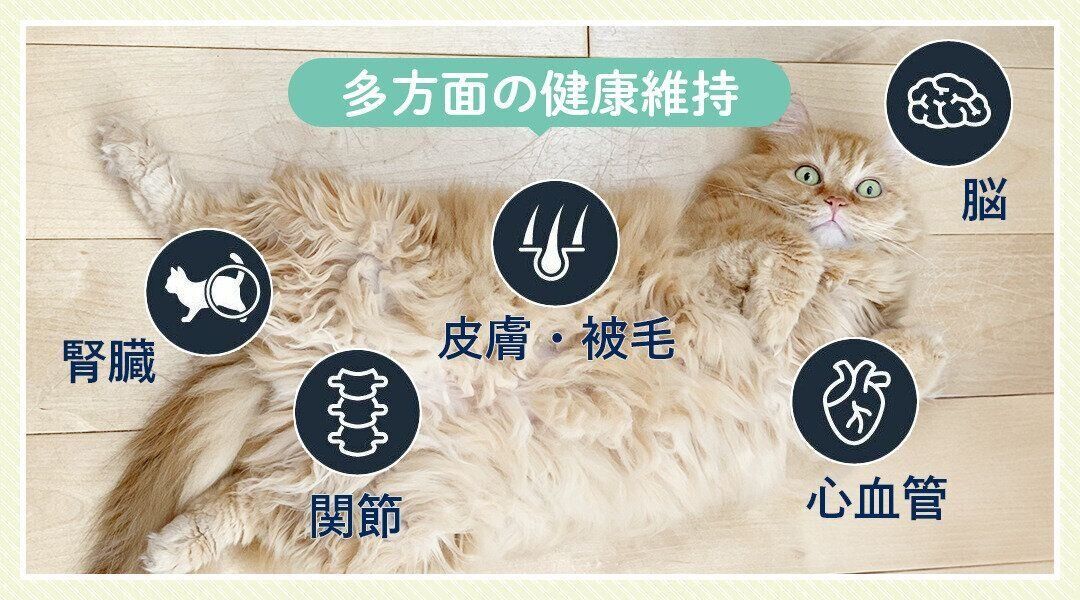 多方面の健康維持