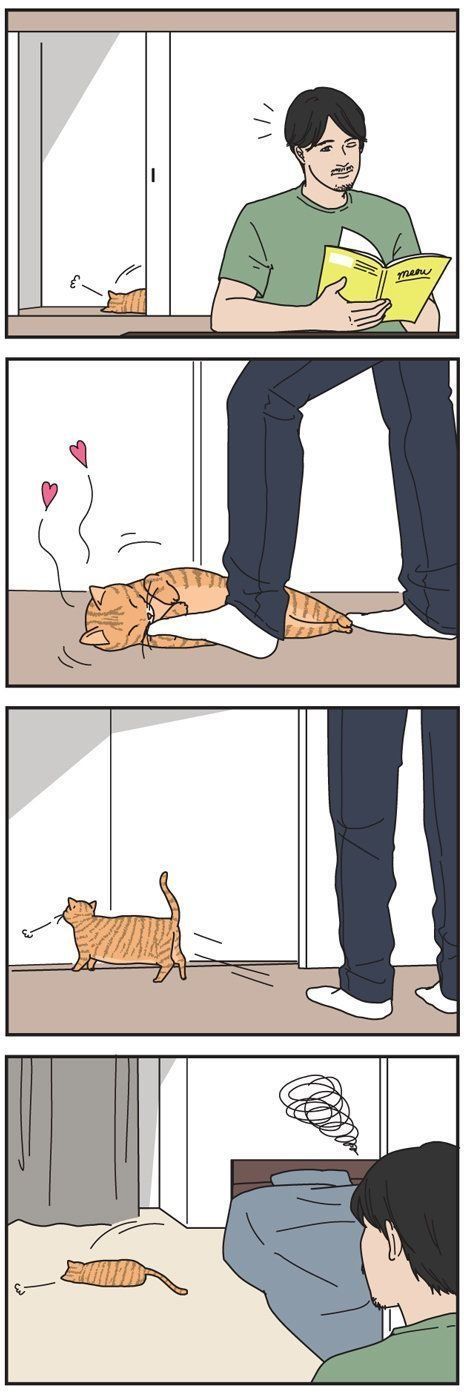 男の猫道