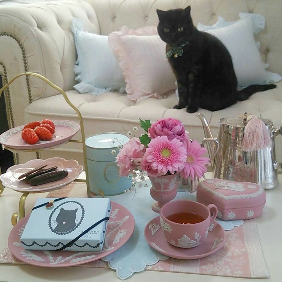 ラデュレのラング・ド・シャと猫