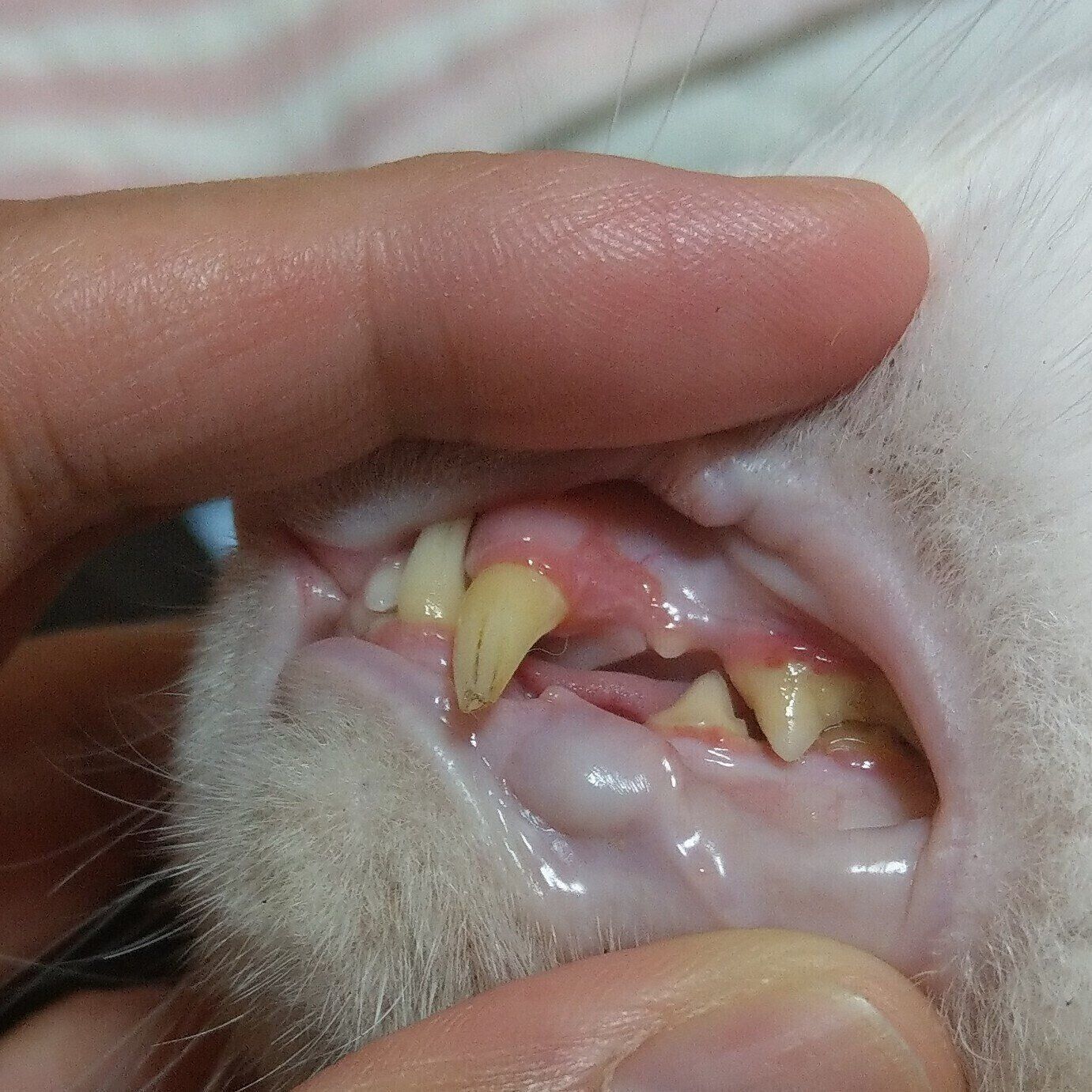 写真提供／読者