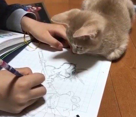 絵に見とれるニャンコ