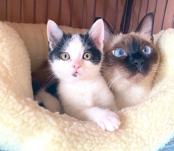 仲良しなまめちゃんとなみちゃん