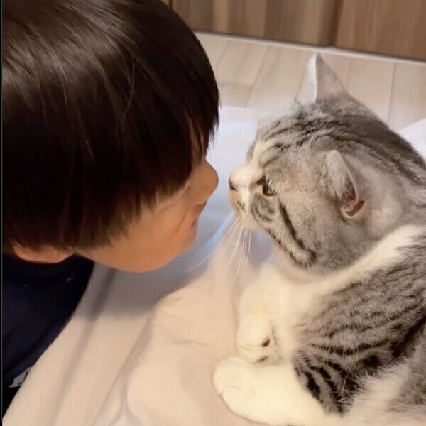 息子くんと鼻キッスをするふにちゃん