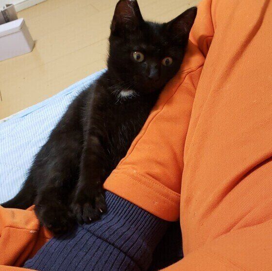 パパにすり寄るﾏｰﾔちゃん