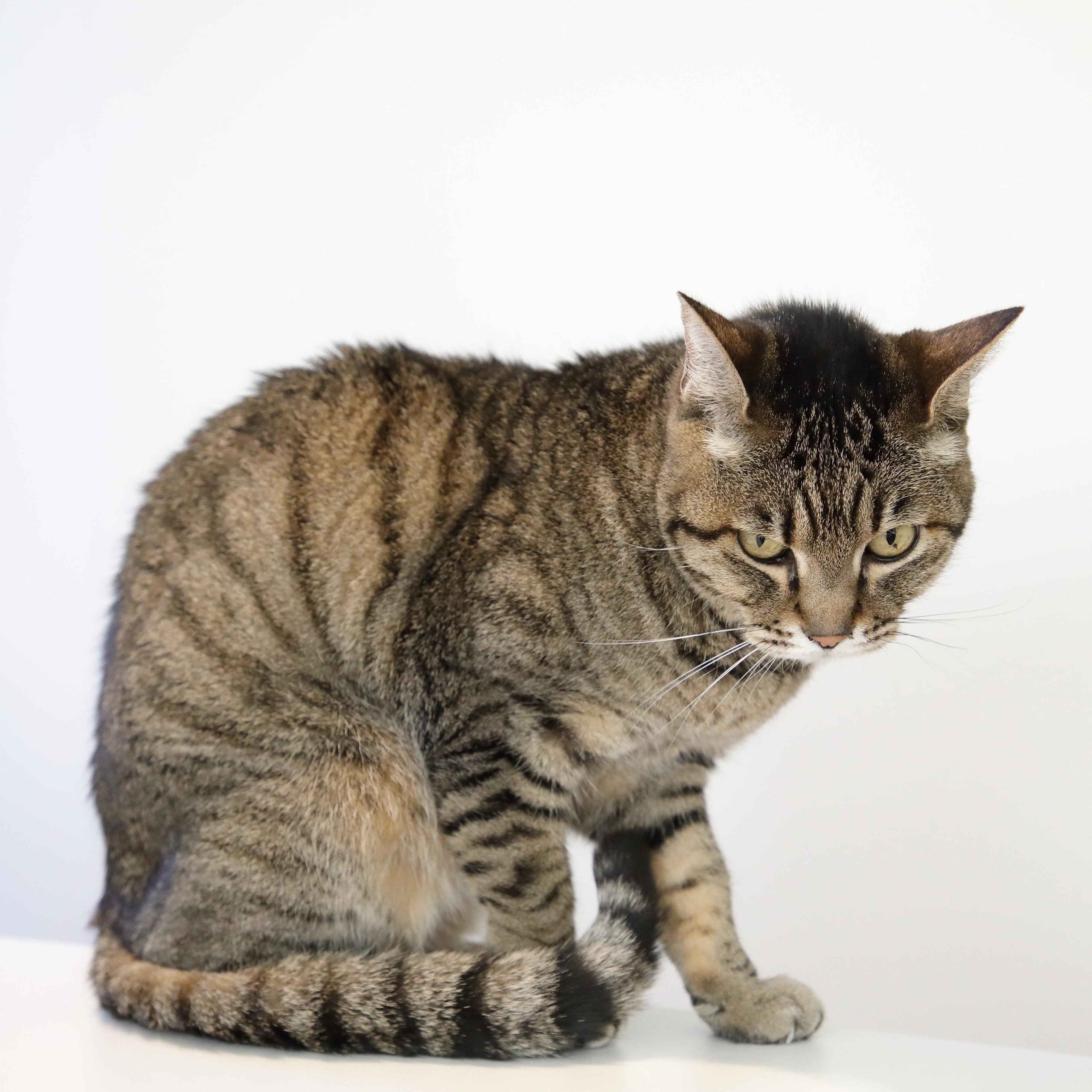 撮影／尾﨑たまき