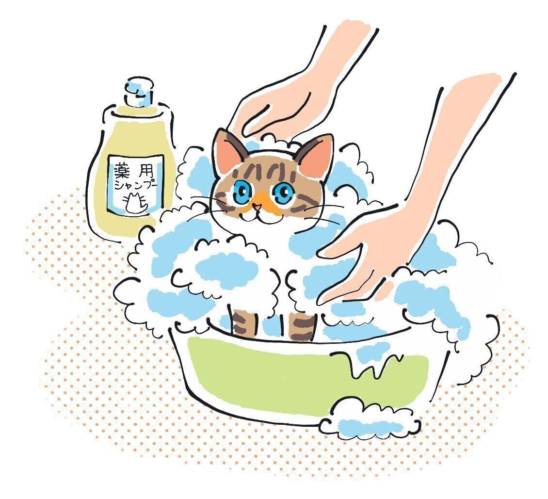 イラスト／はなさきロージー