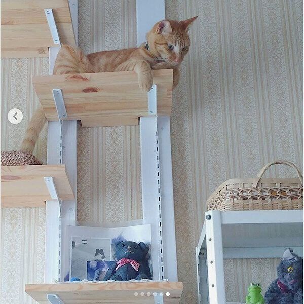 猫のDIY作品