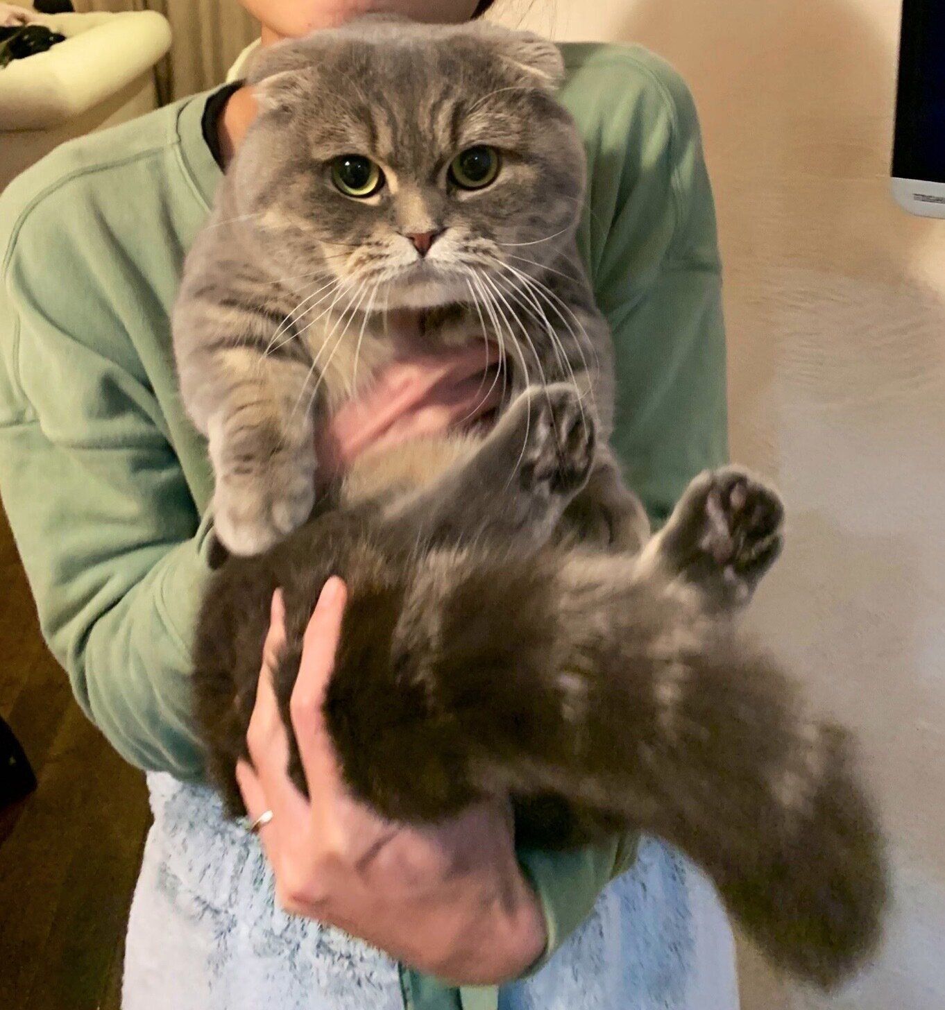 現在のたこやきくん