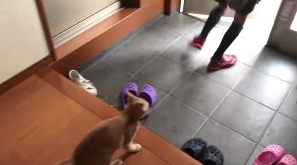 逃げるお兄ちゃん