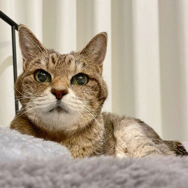 まったりするモカさん