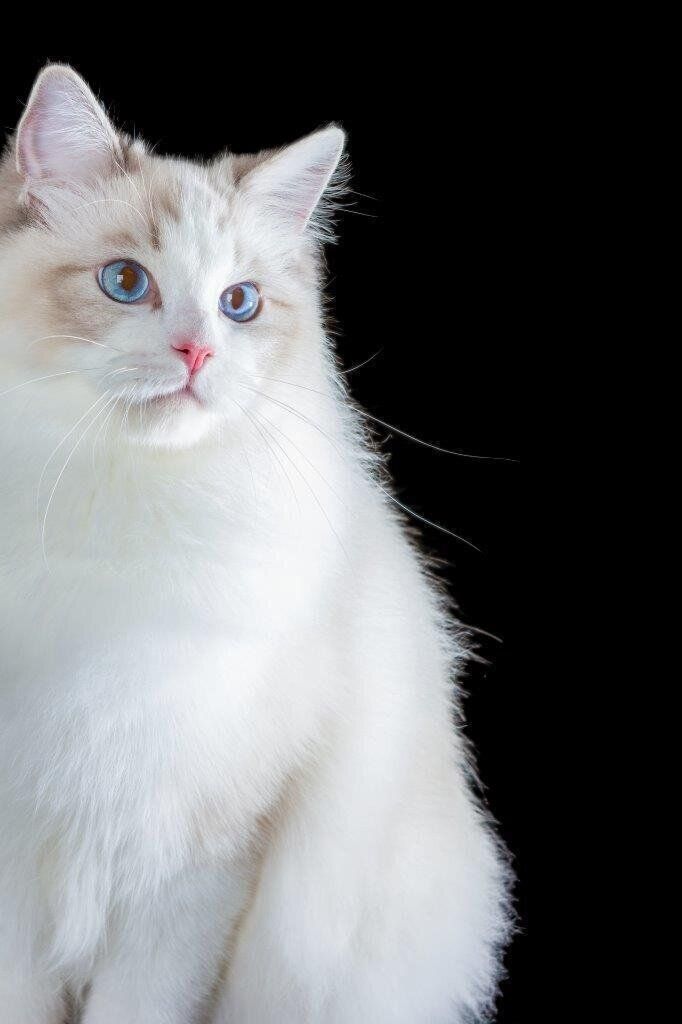 撮影／石原さくら