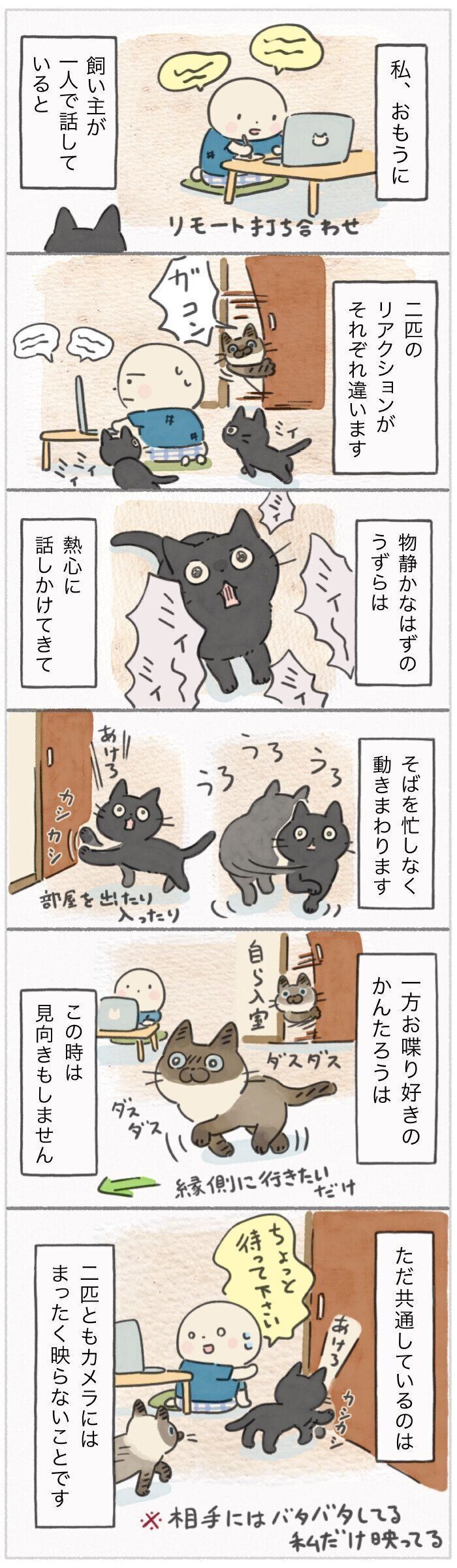 「ねこ連れ草」313話め