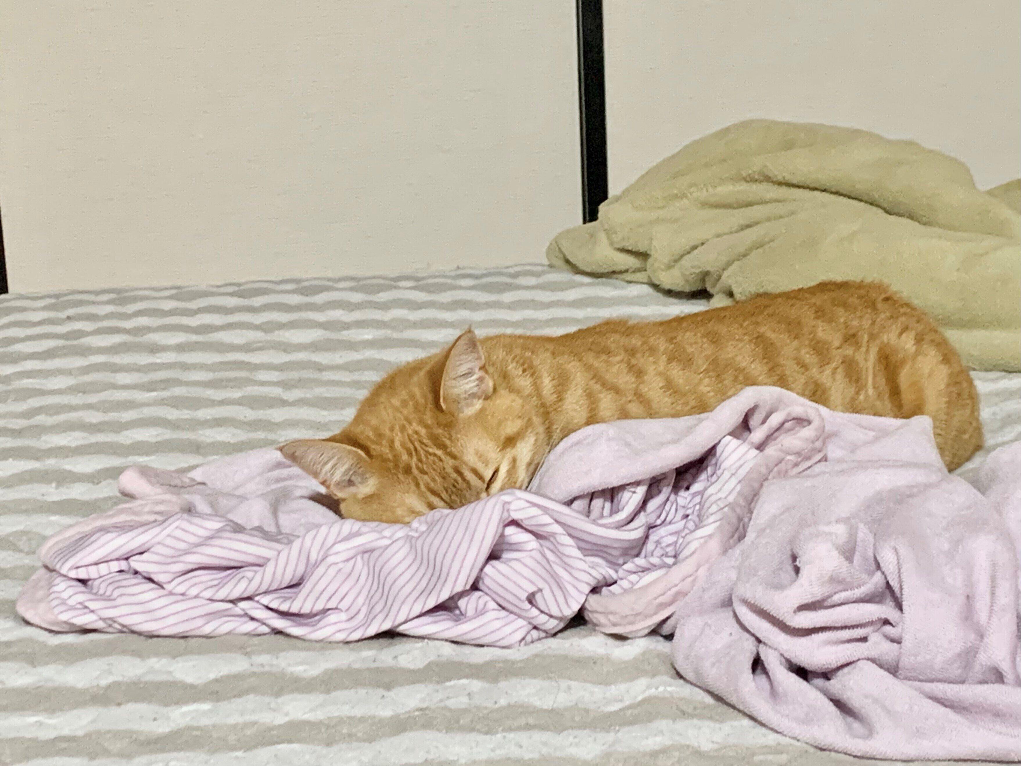 写真提供／読者