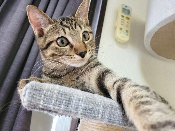 くつろぐおこめくん